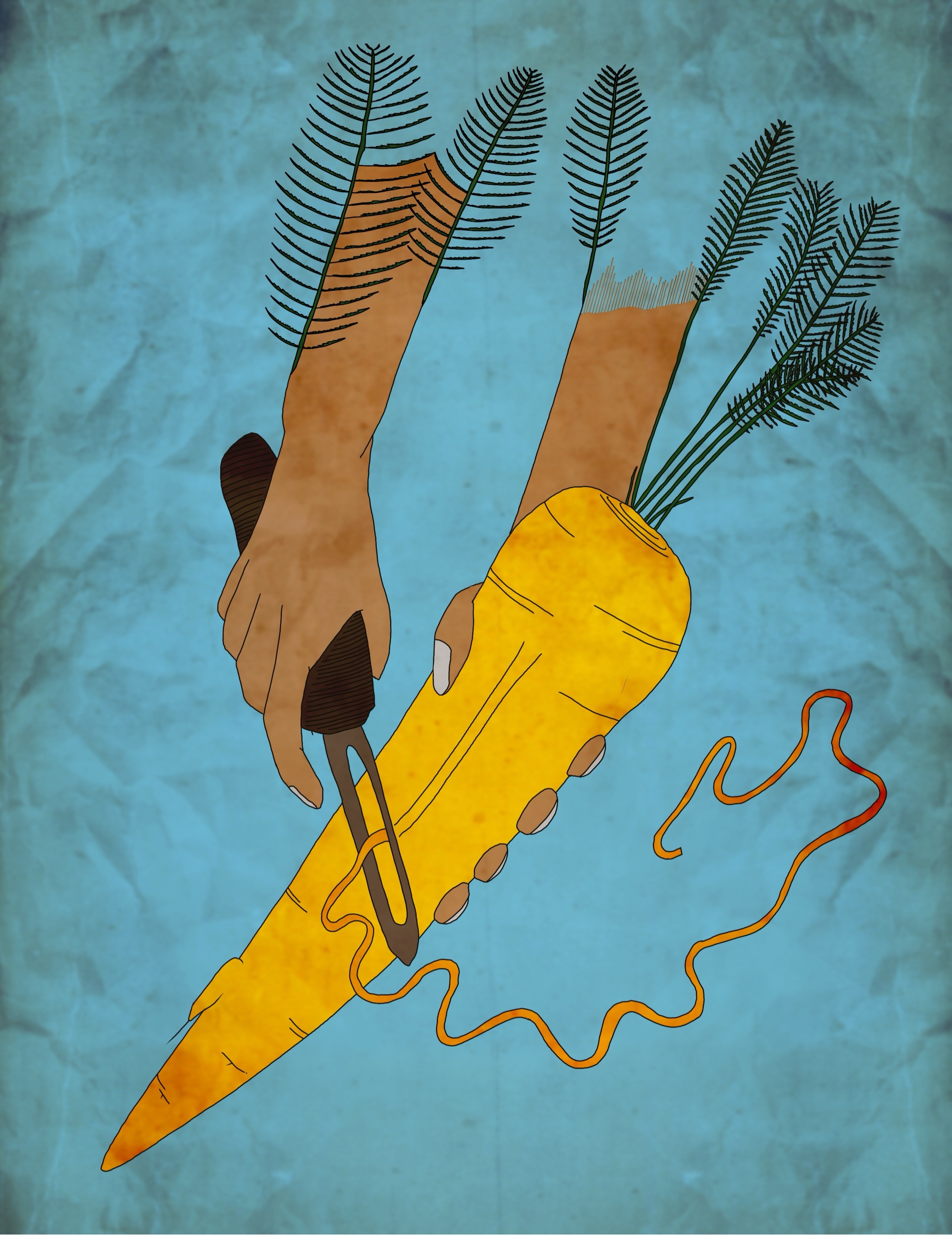 Carrot peeler hands, recontextualized. Figure 6 matches Figure 1, except in this case, the carrot, peeler, ribbon of peeled skin, hands, forearms, and fronds perform distal visuality, expressing a kind of palinopsis, or visual echo, suggestive of the author’s hands while preparing vegetables for a stew, but also the hands of all who have held carrots over a sink, peeling them, and making a meal for others.  